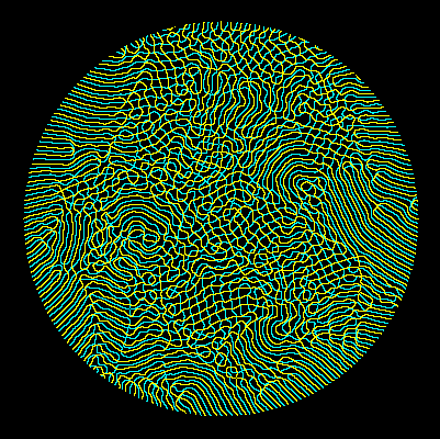 Disordered phase contours